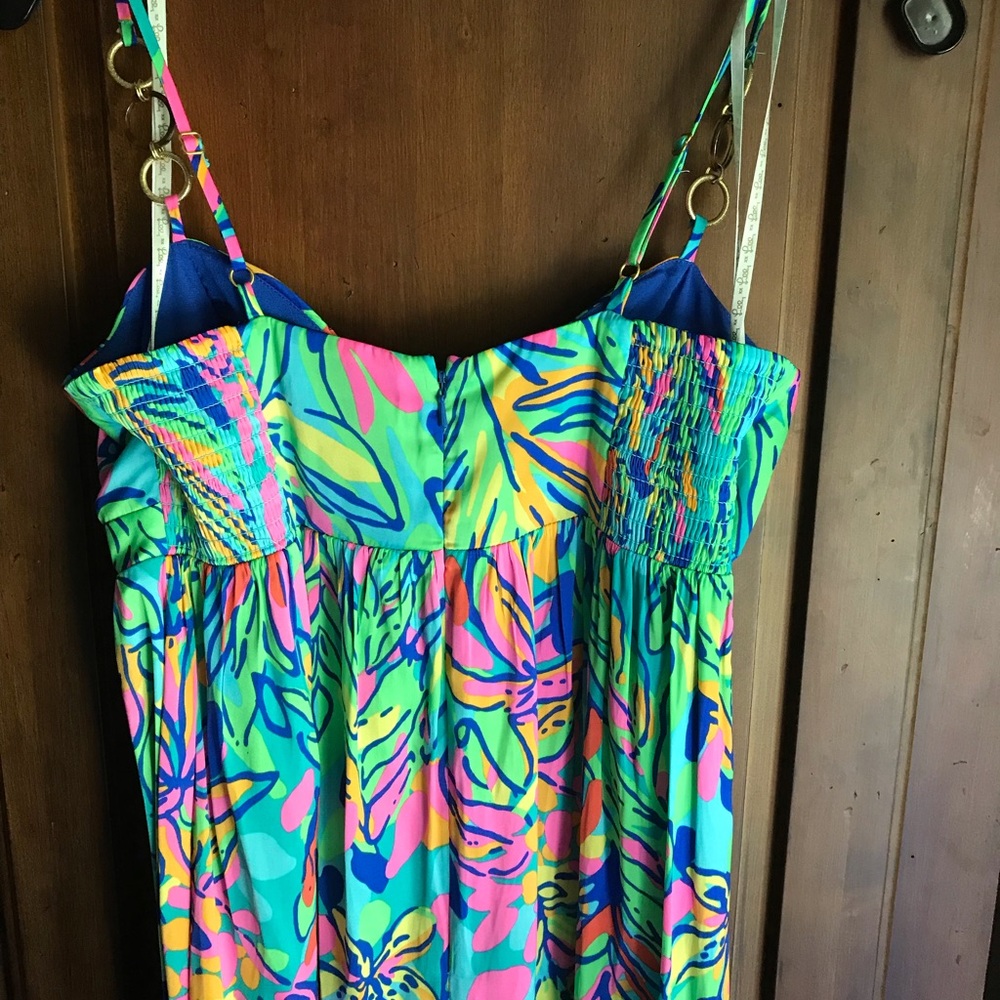 Lilly Pulitzer Maxi Dress - Picture 5 of 5